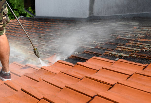 Best Deck Cleaning Services  in Tresckow, PA